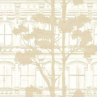 Коллекция  Transition, fj31505