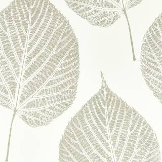 Коллекция Colour, HTEW112609