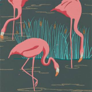 Колекція Salinas, HSAW112156