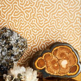 Коллекция Curio, 107/4021 Коллекция Curio, 107/4021