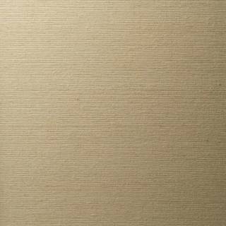 Колекція Ted Baker, 14011W7507205