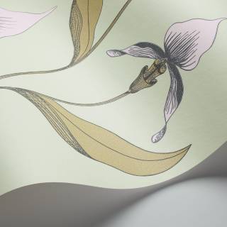 Колекція The Contemporary Selection, 66/4028