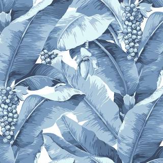 Колекция Anthology Resource, db10102