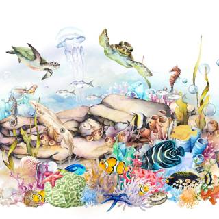 Колекція Kids’ World, 365023