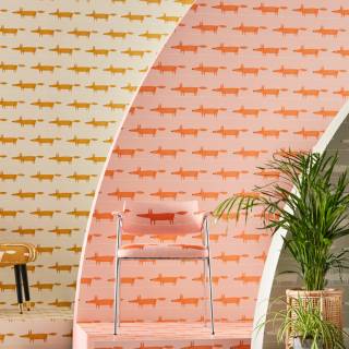 Колекція Midi Fox, NHAP112818