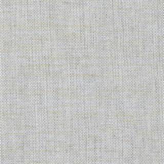 Колекція Jacquard, HED2076