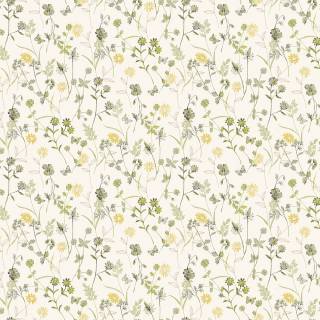 Коллекция  Amazone, ZON103