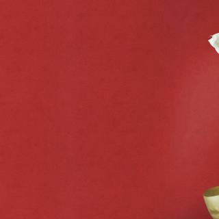 Коллекция Kimono, 408195