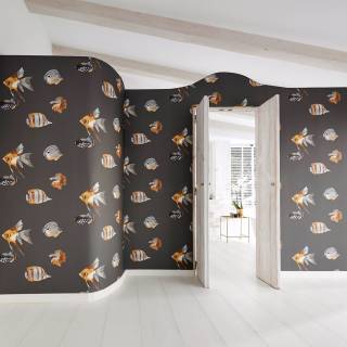 Коллекция Anthozoa, HANZ111648