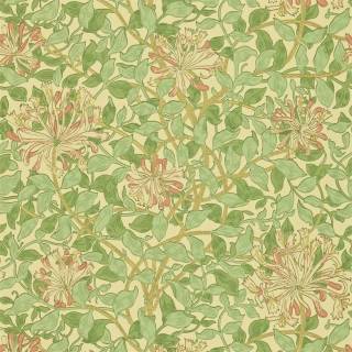 Колекція Compilation, DCMW216842