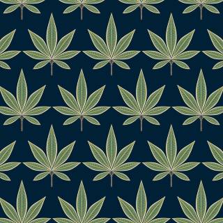 Коллекция  Mulberry Tree, TJ41314