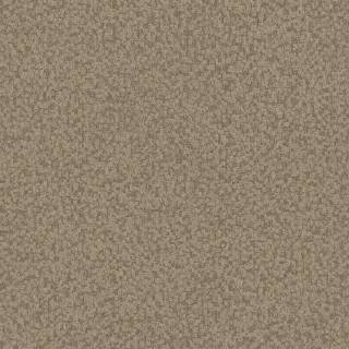 Колекція Thom, TH0708