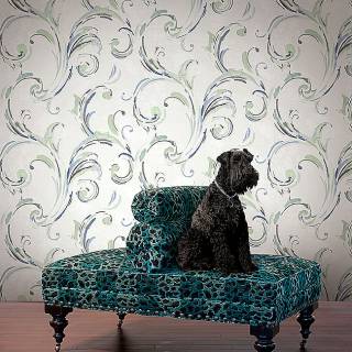 Колекція Edition 2, cb22004