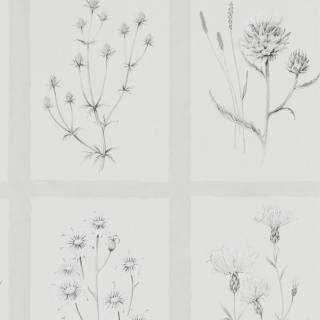 Колекція Embleton Bay, DEBB216512 Колекція Embleton Bay, DEBB216512