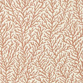 Колекція Colour, HTEW112768