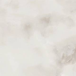 Коллекция  The Prestige, 25833-1