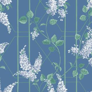 Коллекция Botanical ~Botanica~, 115/5015