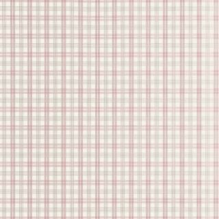 Коллекция  Stripes and Checks, T44057