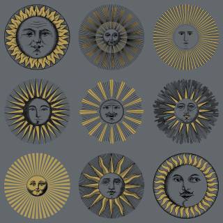 Колекція Fornasetti Senza Tempo II, 123/1004 Колекція Fornasetti Senza Tempo II, 123/1004