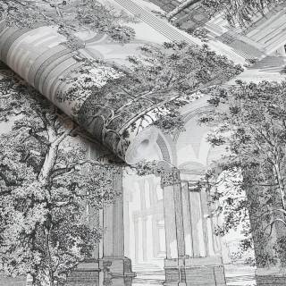 Колекція Arboretum Graham, 129092