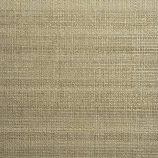 Колекція Ted Baker, 14057W9978408