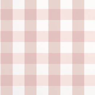 Коллекция  Stripes and Checks, T44081