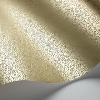 Коллекция Curio, 107/9041