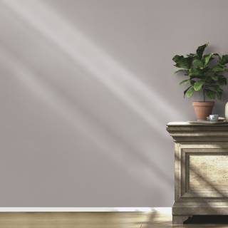 Коллекция  African Queen III, 752649 Коллекция  African Queen III, 752649