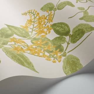 Колекція Archive Anthology 100/12059