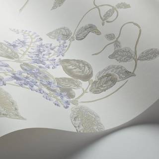 Коллекция Archive Anthology 100/12057