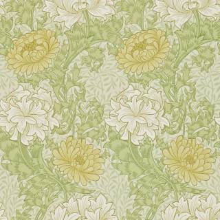 Коллекция Archive II, DARW212545