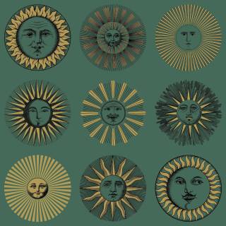 Коллекция Fornasetti Senza Tempo II, 123/1005