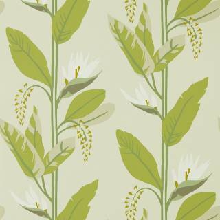 Колекція Mirador, HMIW112238