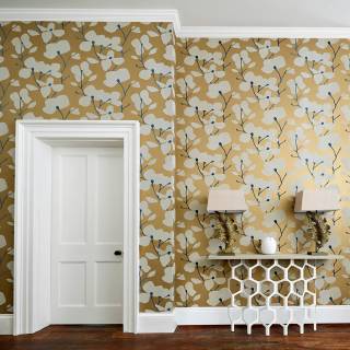 Колекція Momentum 5, HMWF111972