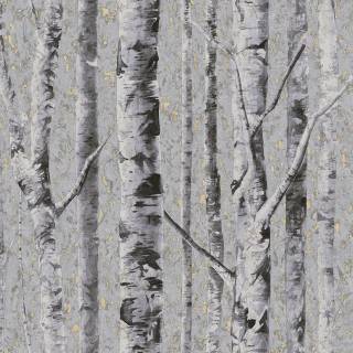 Колекція Sanctuary, FJ41609 Колекція Sanctuary, FJ41609