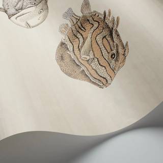 Колекція Fornasetti Selection, 114/16033 Колекція Fornasetti Selection, 114/16033