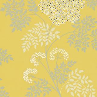 Коллекция One Sixty, DOPWCO105