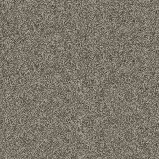 Колекція Curio, 107/9043