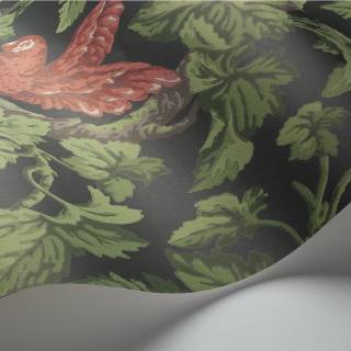 Коллекция The Pearwood Collection, 116/5020