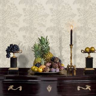 Коллекция  Arcadia Palazzo AR00101