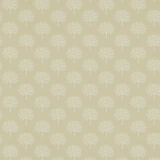 Коллекция Littlemore, DLMW216903