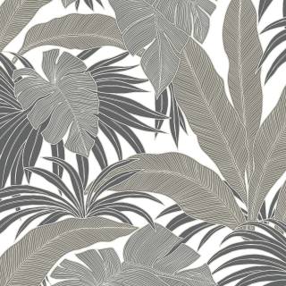 Коллекция  Antigua, AN70307 Коллекция  Antigua, AN70307