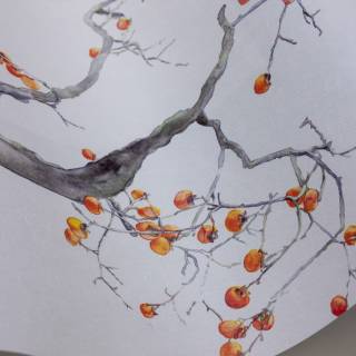 Коллекция Shinrin Yoku, 126/2003