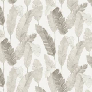 Колекція Attico, 392643