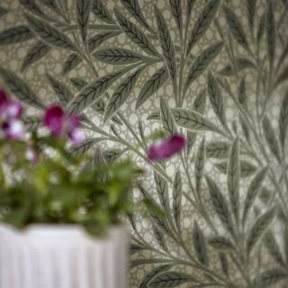 Коллекция Emery Walker’s House, MEWW217184