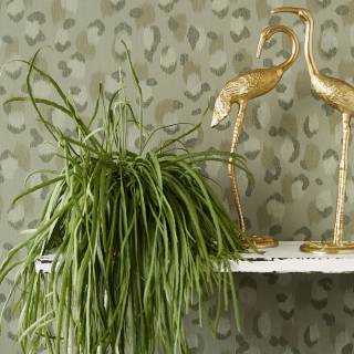 Коллекція Skin, 300544