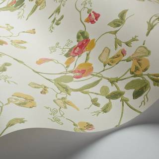 Коллекция Archive Anthology 100/6027