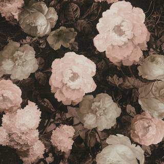 Колекція History of Art, 376504