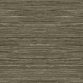 Колекція More Textures, TC70706 Колекція More Textures, TC70706
