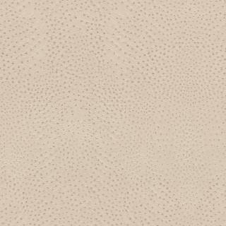 Колекція African Queen III, 751512